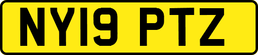 NY19PTZ