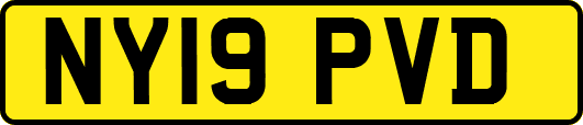 NY19PVD