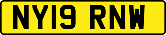 NY19RNW
