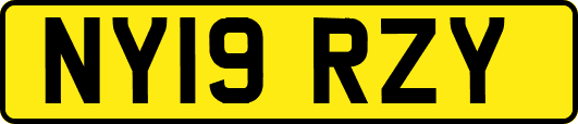 NY19RZY