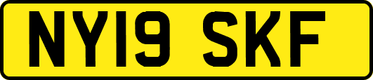 NY19SKF