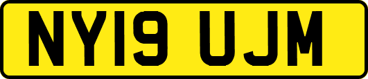 NY19UJM