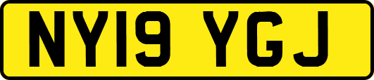 NY19YGJ