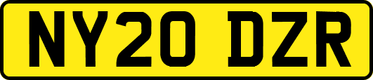 NY20DZR
