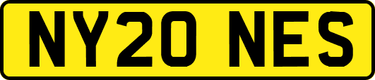 NY20NES
