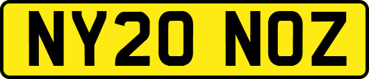 NY20NOZ