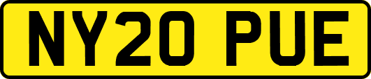 NY20PUE