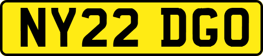NY22DGO