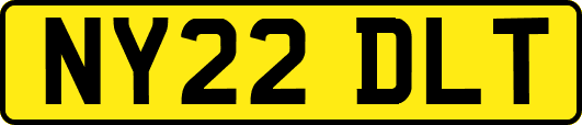 NY22DLT