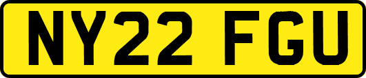 NY22FGU
