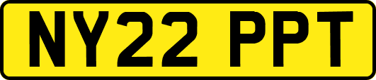 NY22PPT