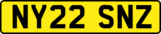 NY22SNZ