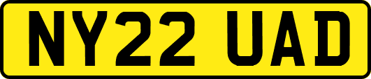 NY22UAD