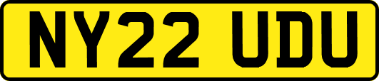 NY22UDU