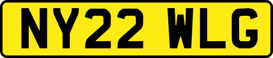 NY22WLG