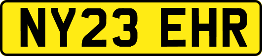 NY23EHR