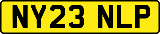 NY23NLP