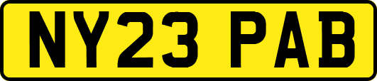 NY23PAB