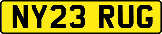 NY23RUG