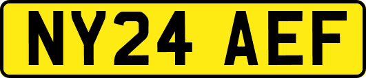NY24AEF