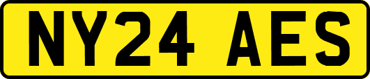 NY24AES