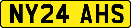 NY24AHS