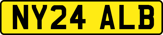 NY24ALB