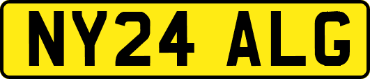 NY24ALG