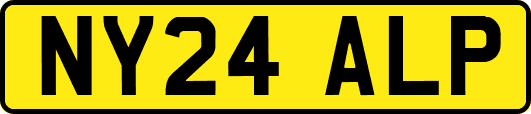 NY24ALP