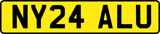 NY24ALU