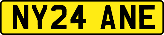 NY24ANE