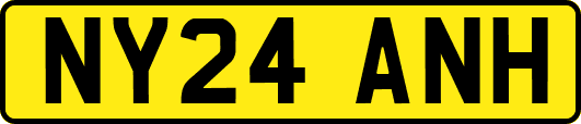 NY24ANH