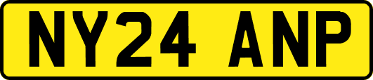 NY24ANP