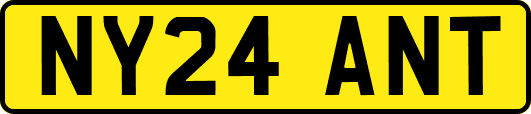 NY24ANT
