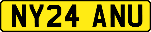 NY24ANU