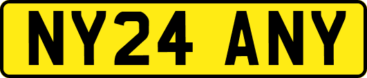 NY24ANY