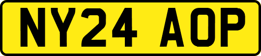 NY24AOP