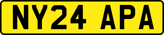 NY24APA
