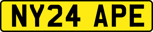 NY24APE