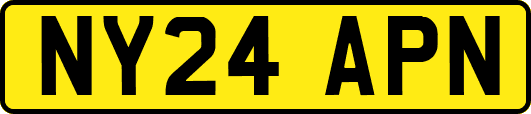 NY24APN
