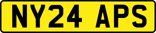 NY24APS