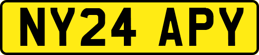NY24APY