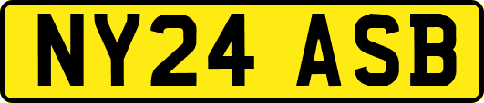 NY24ASB