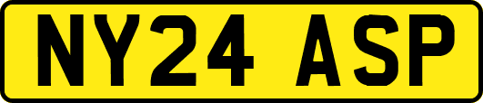 NY24ASP