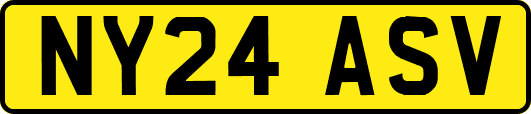 NY24ASV