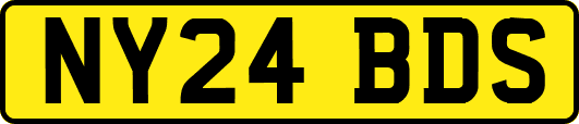 NY24BDS