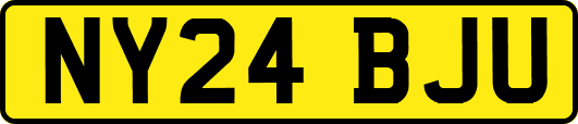 NY24BJU