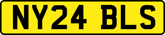 NY24BLS