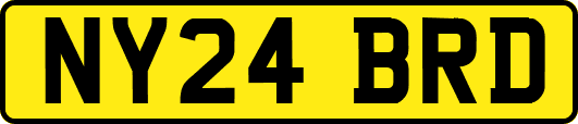 NY24BRD