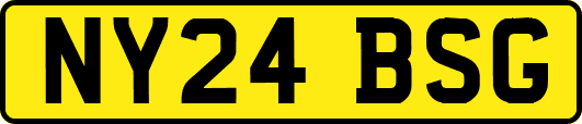 NY24BSG